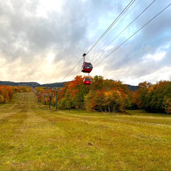 Meet your Posher, Heather - Picture 2 of 8